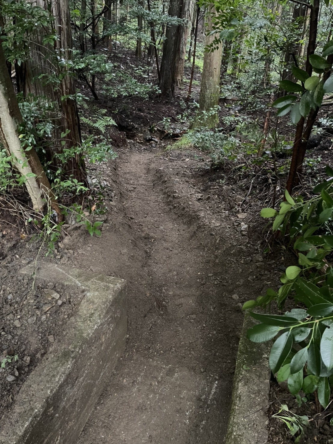 自然災害後の山林内で、素掘り溝復旧に伴う工事を行いました。<br />
全て手作業です。